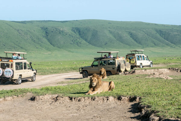 4-Day Tanzania Group Join Itinerary 4-Day Tanzania Group Join Itinerary