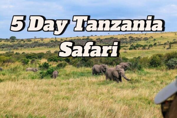 5-Day Tanzania Join Safari For All 5-Day Tanzania Join Safari For All
