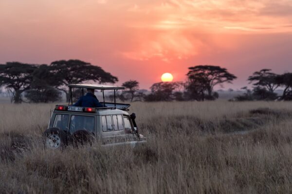 East Africa Safari East Africa Safari