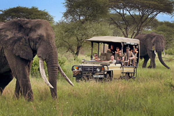 Small Group Tours Small Group Tours