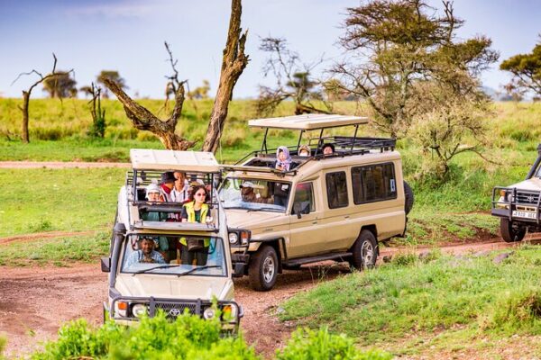 Small Group Tours Small Group Tours