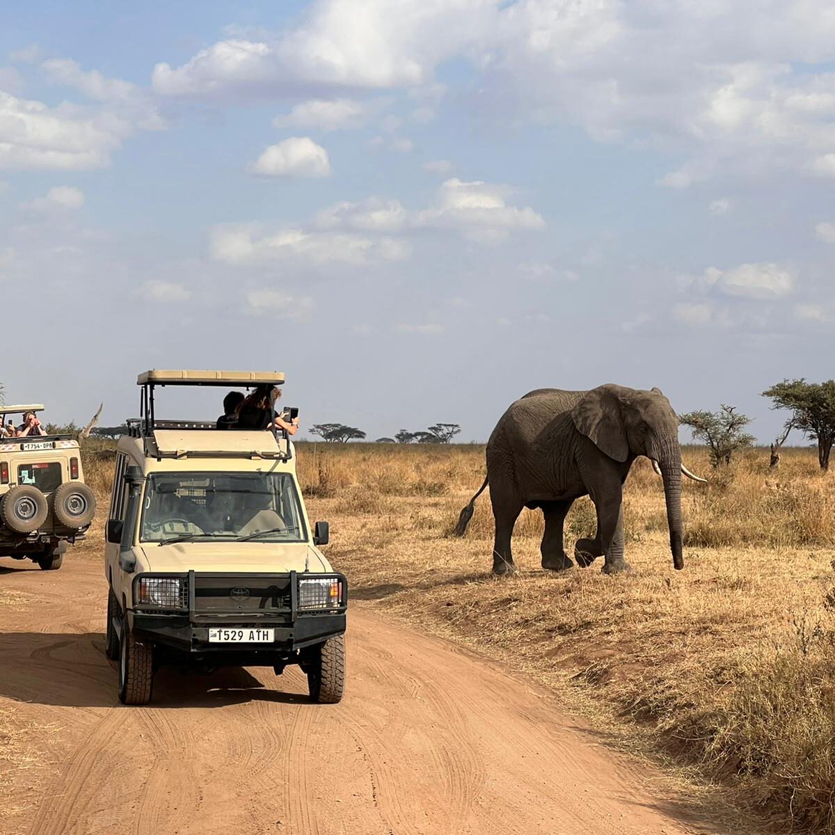 Tanzania