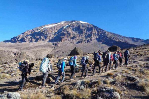 kilimanjaro Northern Circuit Route kilimanjaro Northern Circuit Route