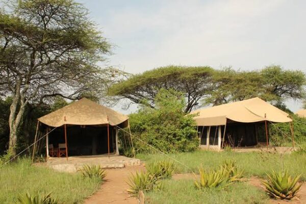 permanent tented camps permanent tented camps