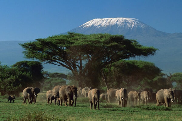 East Africa