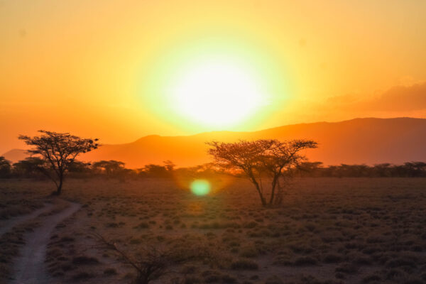 Is East Africa Safe