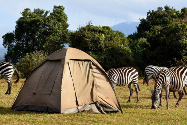 5-day affordable budget camping 5-day affordable budget camping